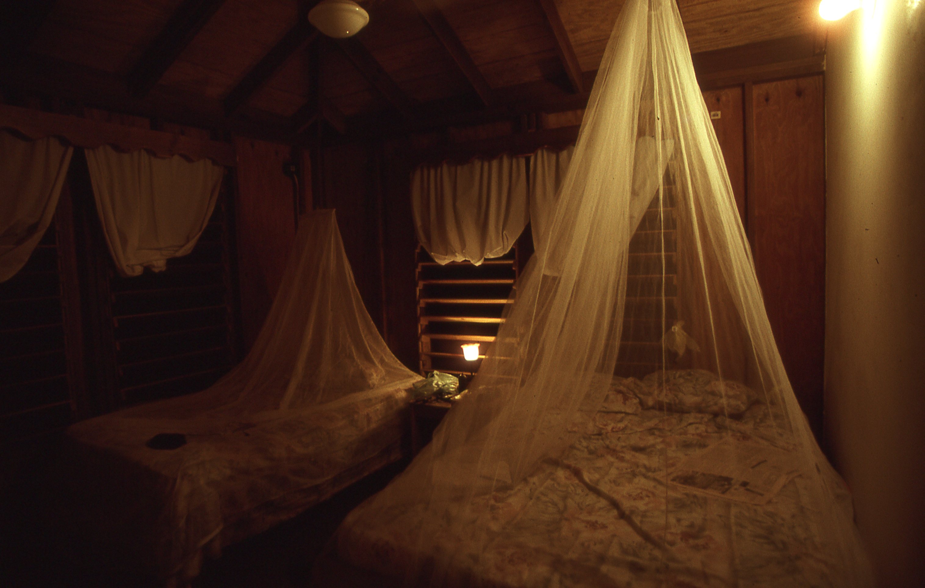 img411.jpg