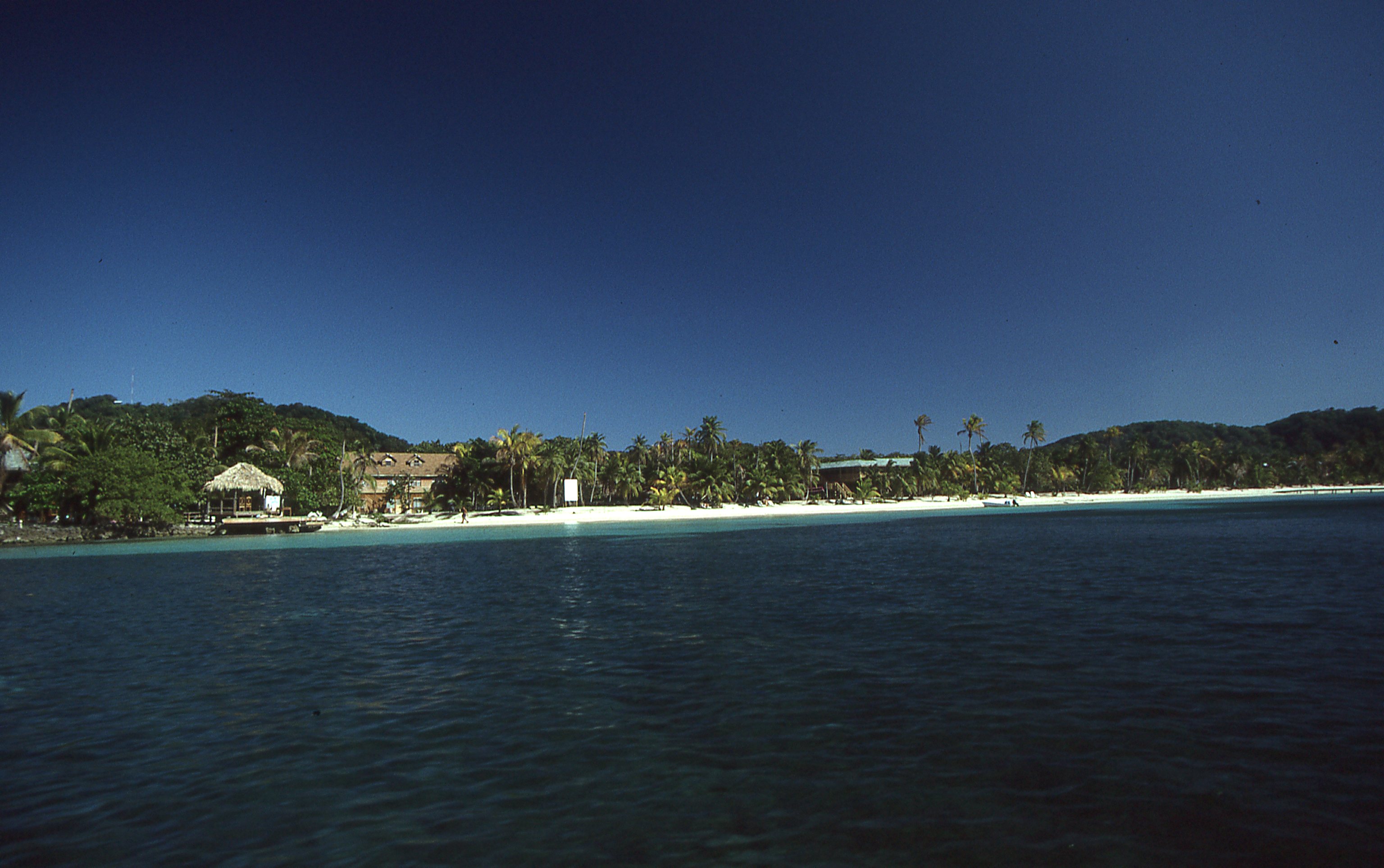 img420.jpg