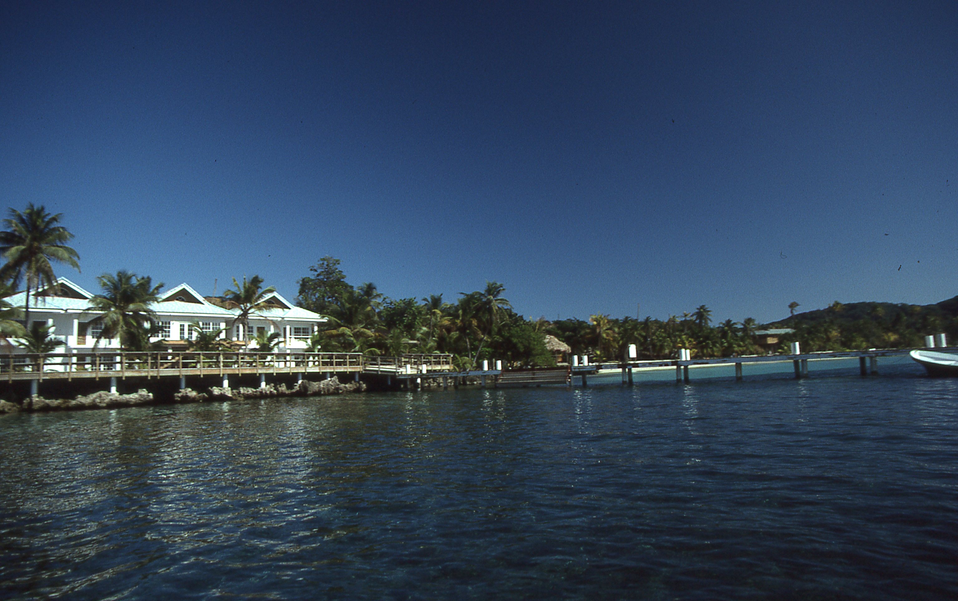 img419.jpg