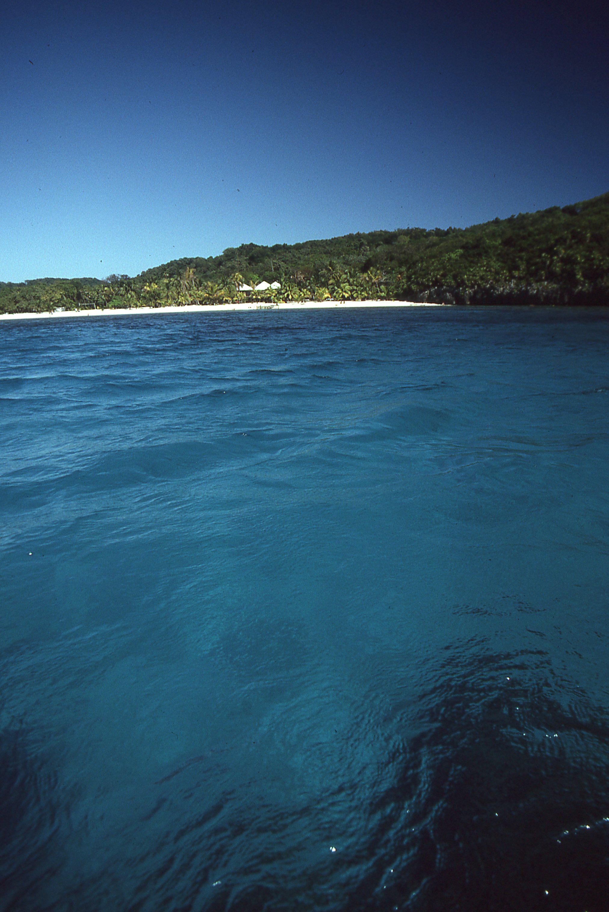 img425.jpg