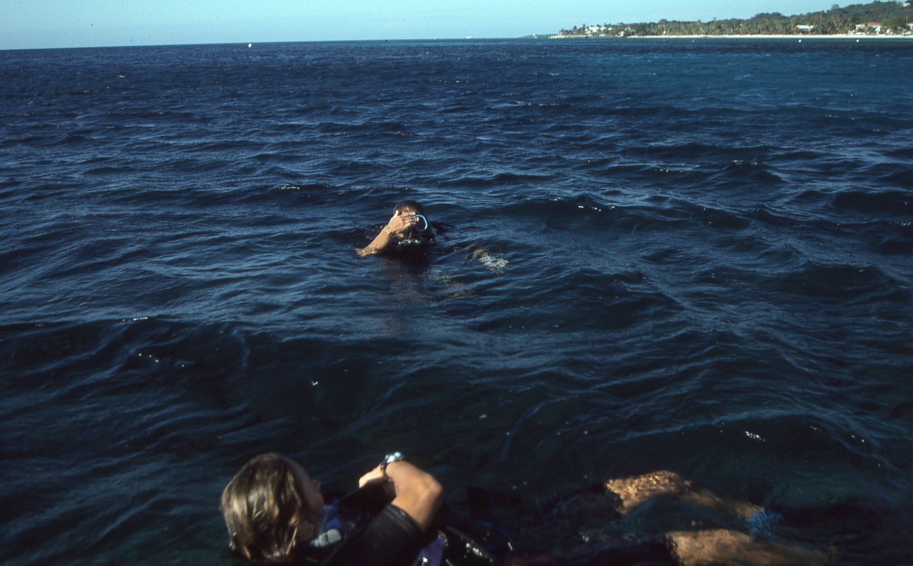 img427.jpg