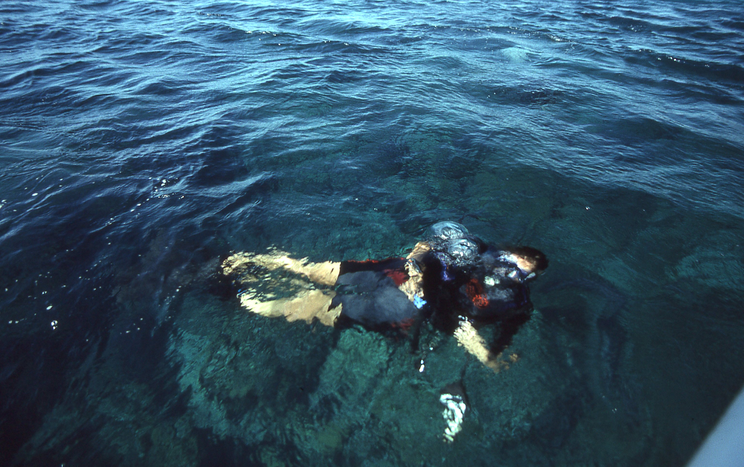img426.jpg