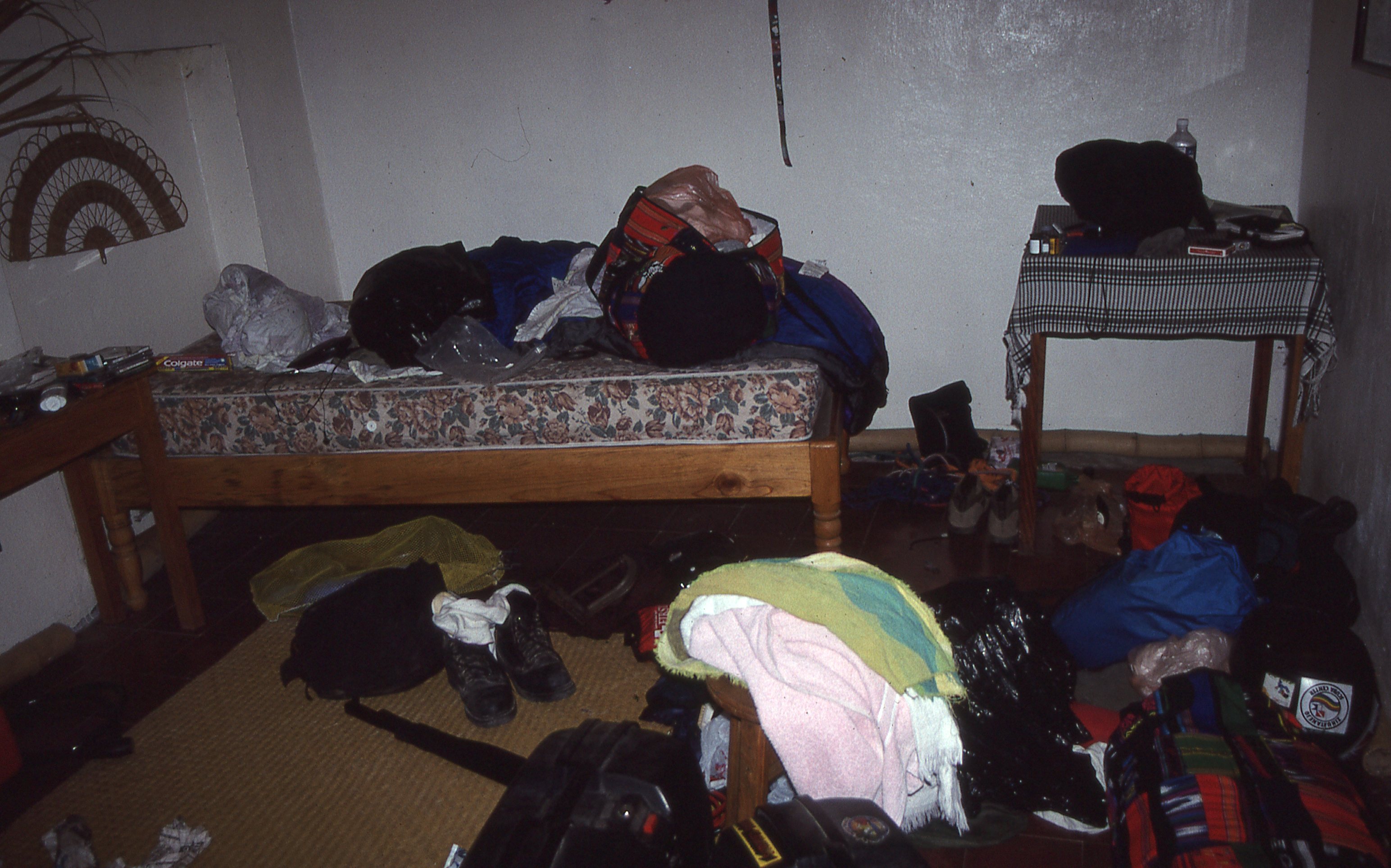 img443.jpg