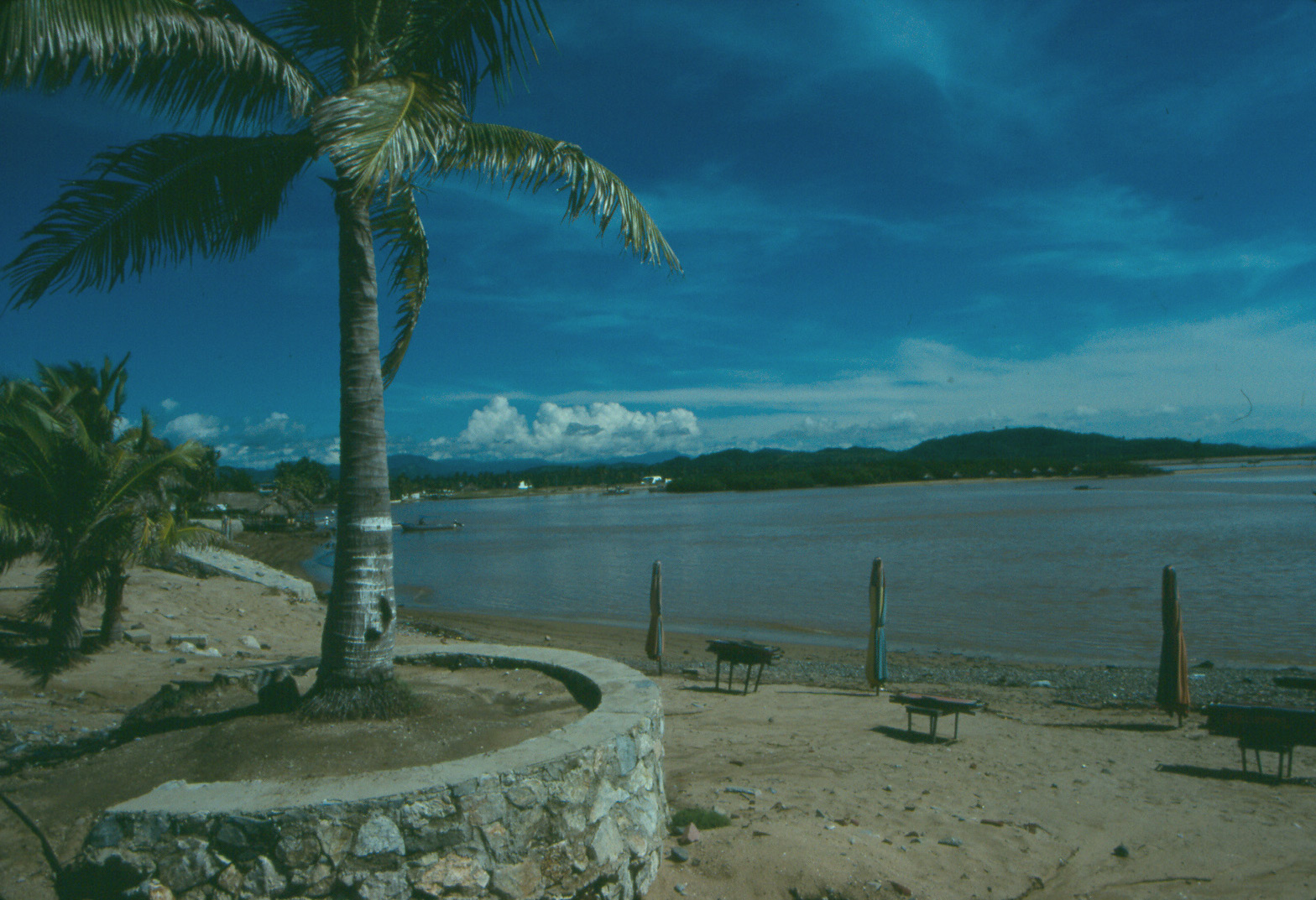 Barra de Navidad