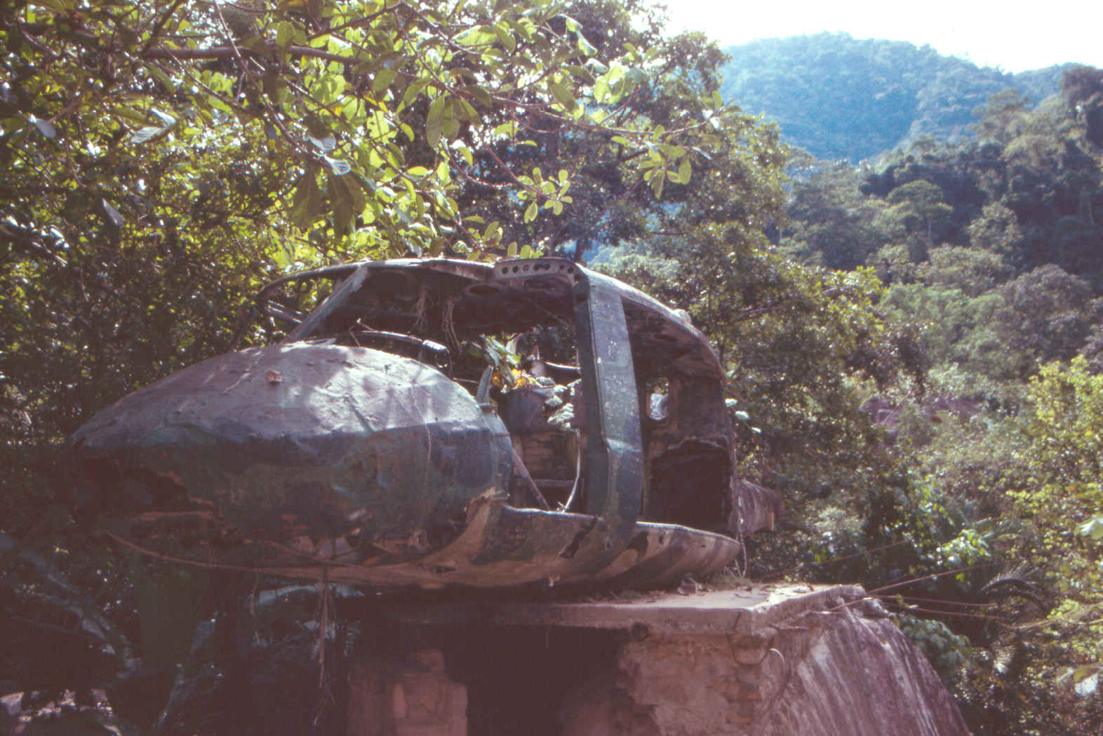Puerto Vallarta - Predator Jungle Copter