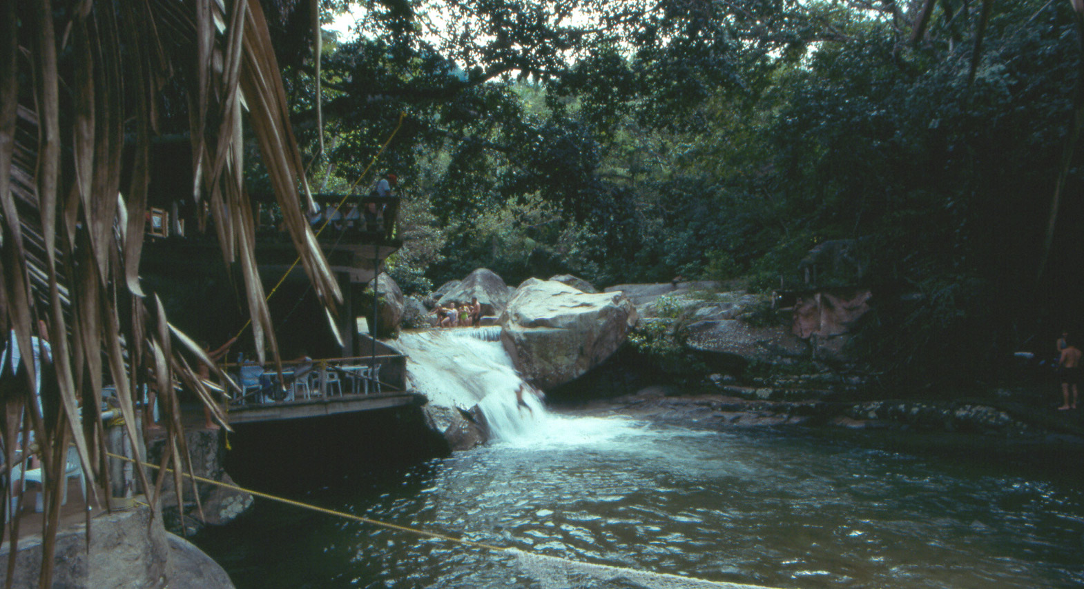 Puerto Vallarta - Predator Jungle