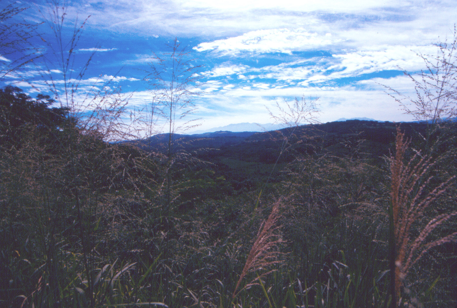 The Road to San Blas