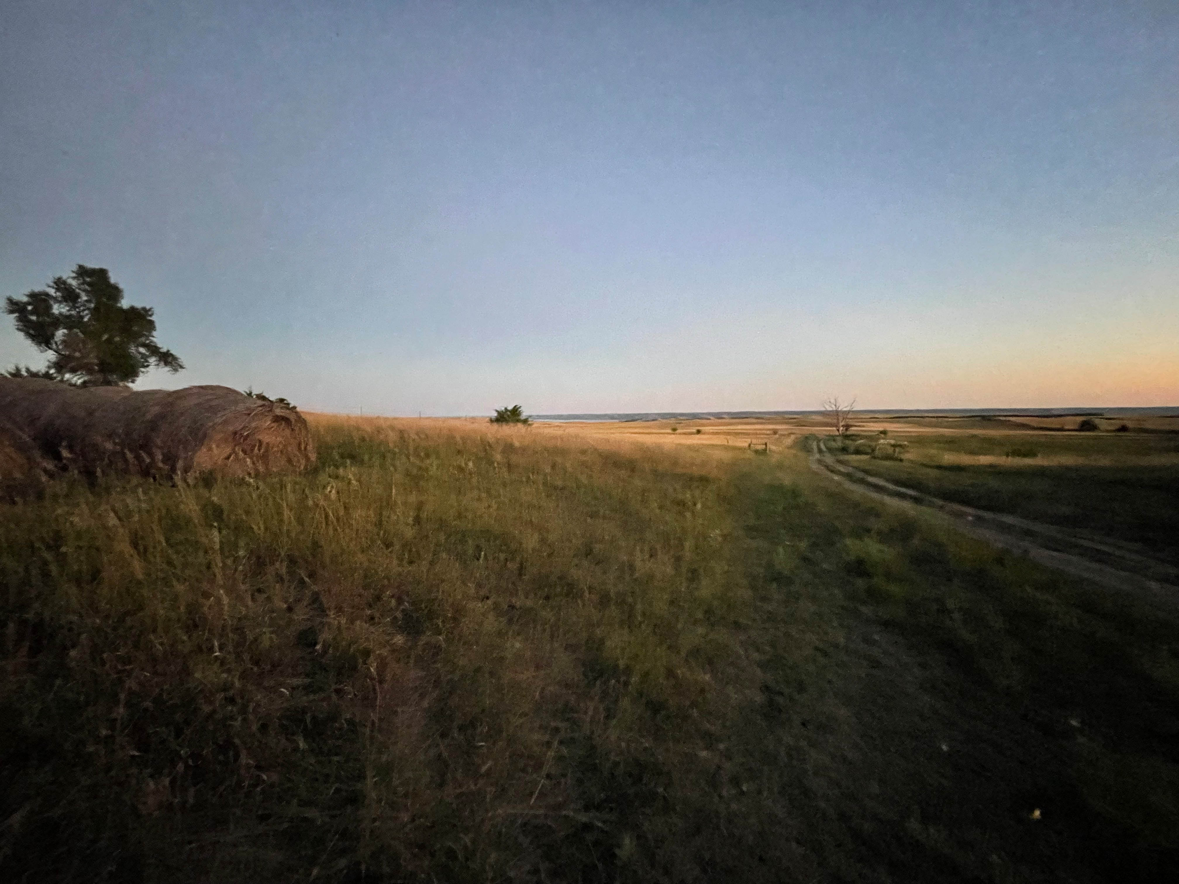 SD Dusk
