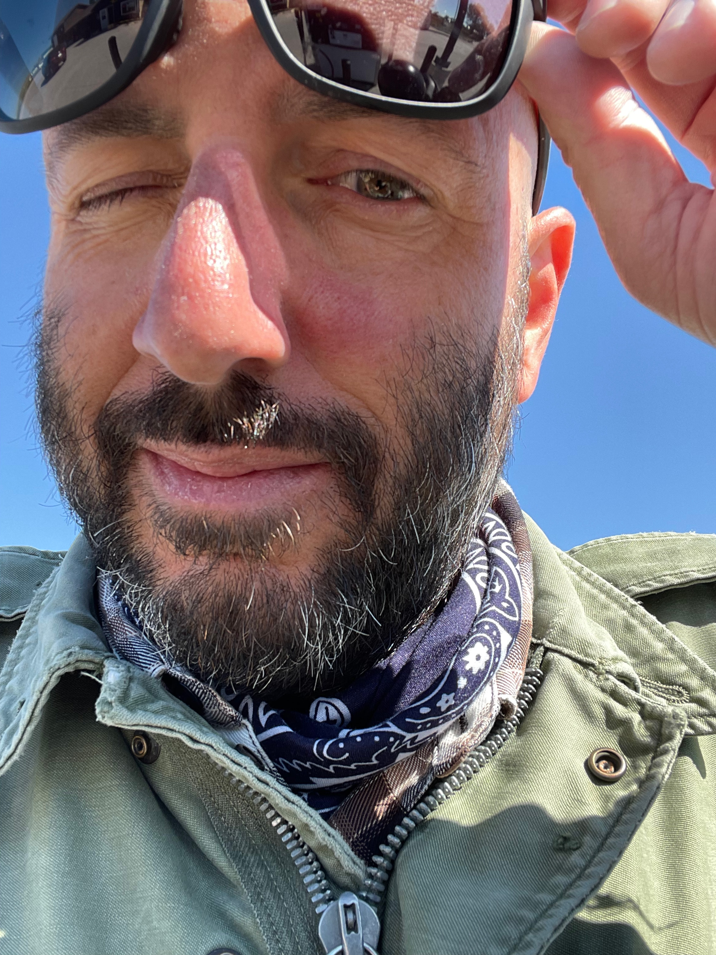 Bee + 90mph + Face