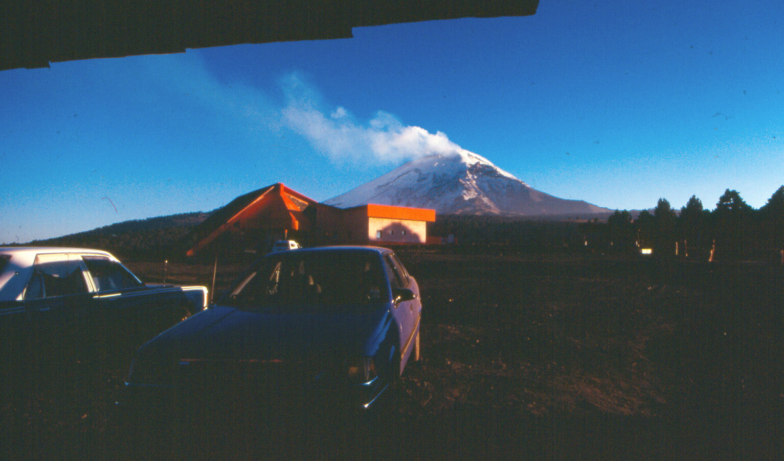 The view from the mushroom shack