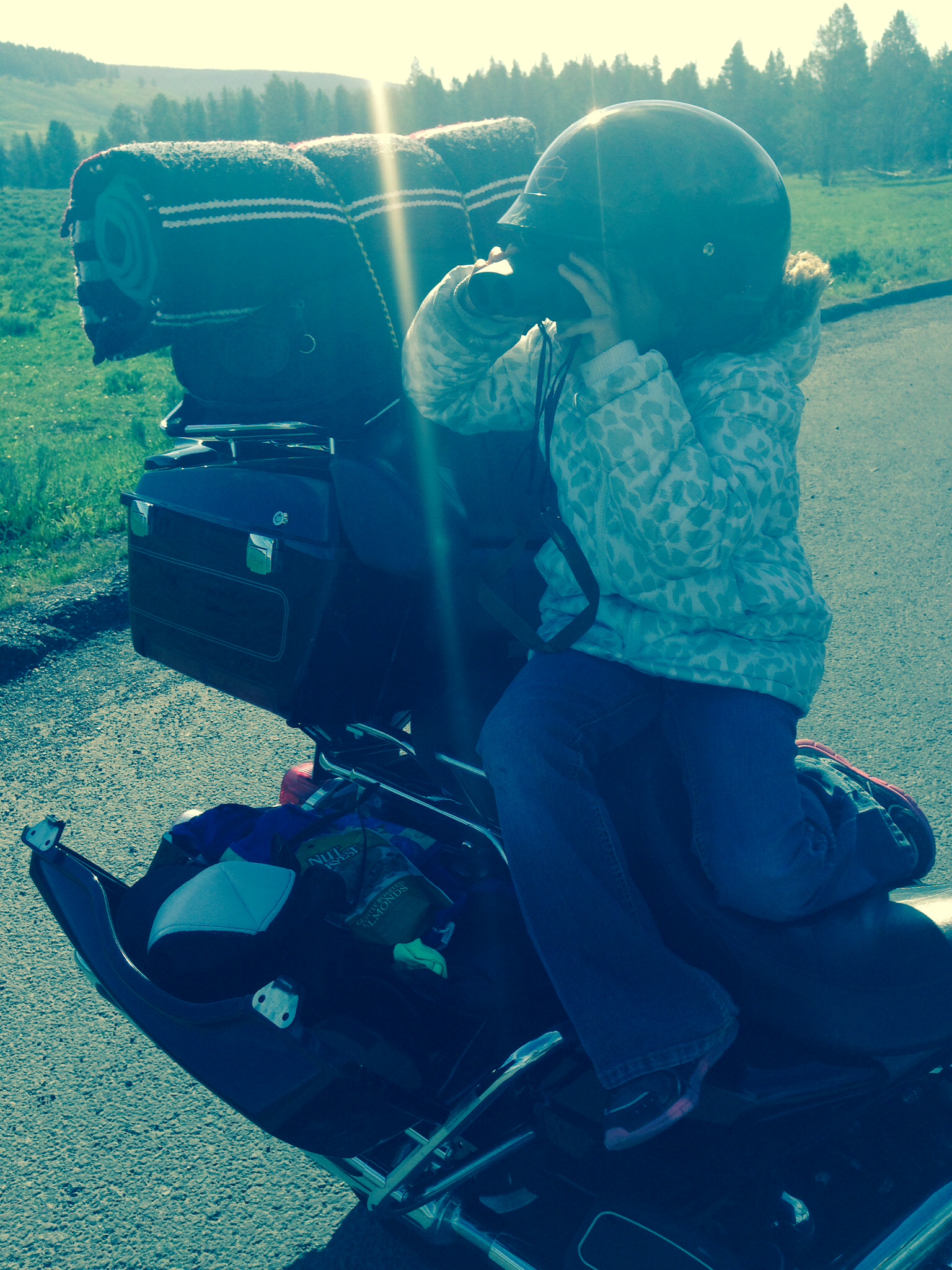 Searching for wildlife