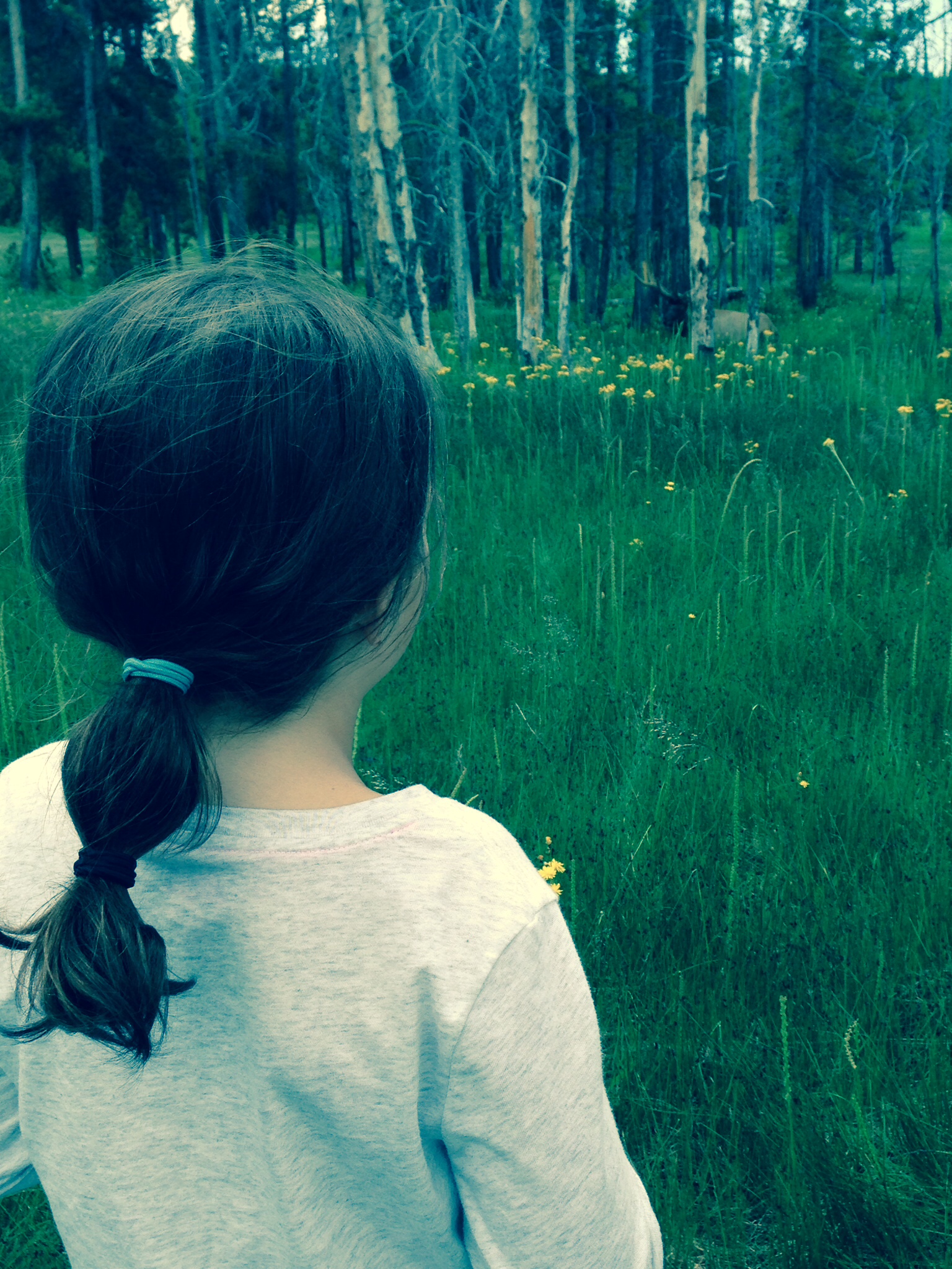 Mila checking out the wildlife