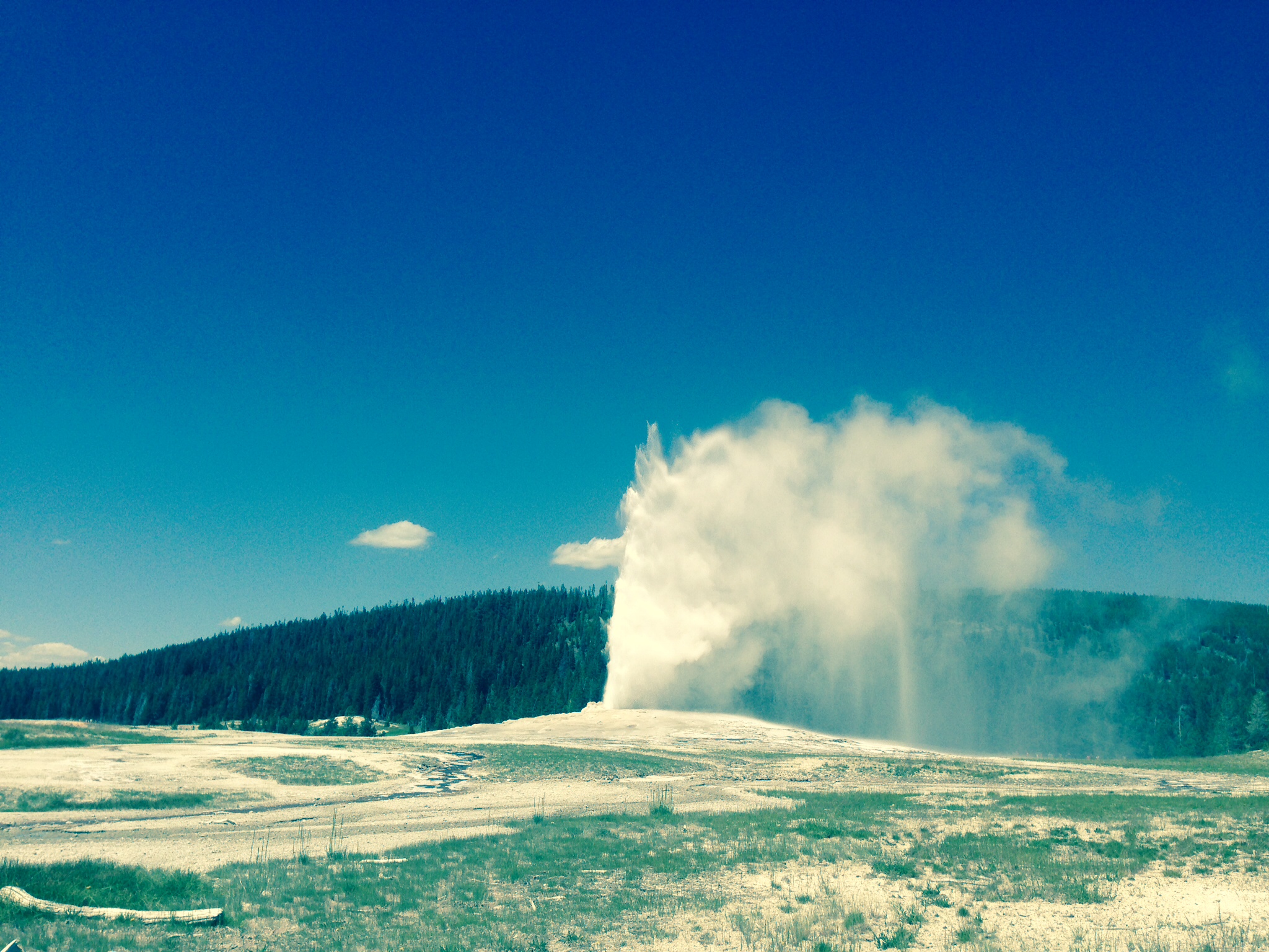 Old Faithful