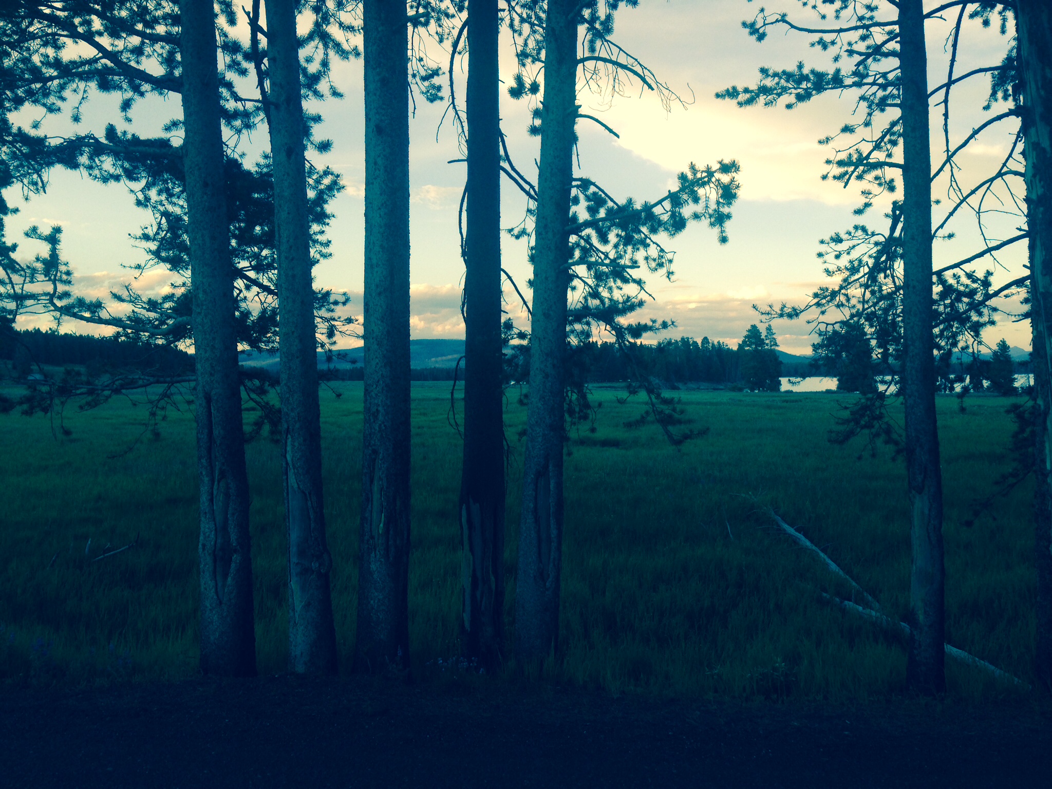 Beautiful night hike