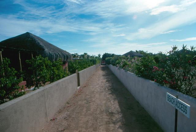 Cabo Pulmo Beach Access