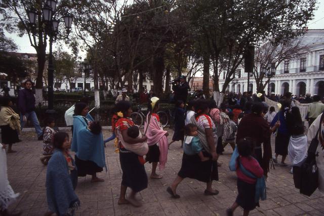 img243.jpg