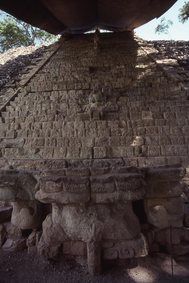 img316.jpg