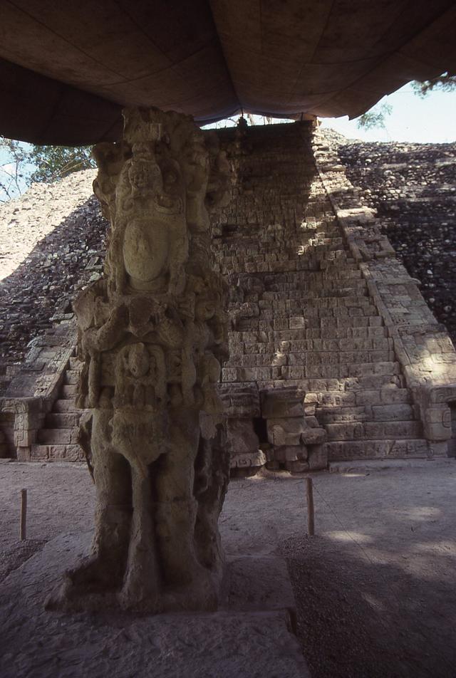 img319.jpg
