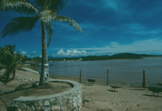 Barra de Navidad