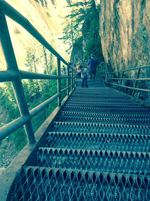 I can't climb anymore