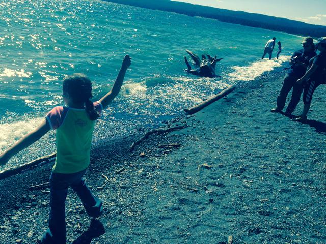 Throwing rocks