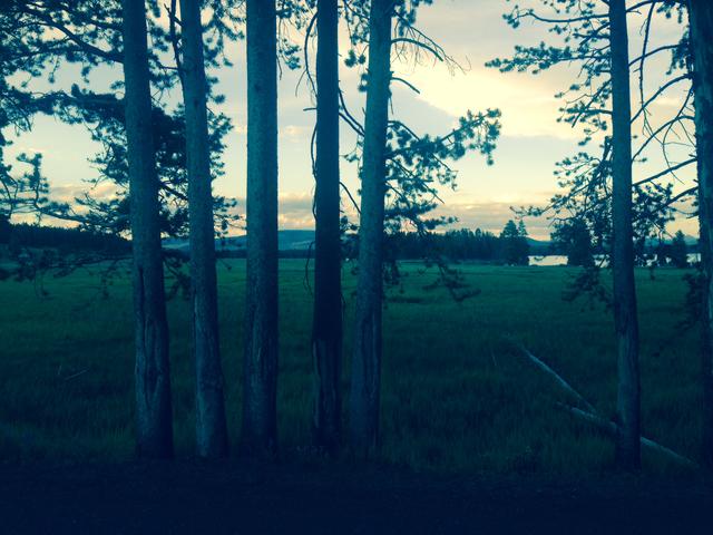 Beautiful night hike